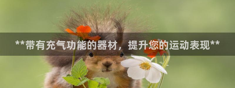 意昂3娱乐下载:**带有充气功能的器材,提升您的运动表现**