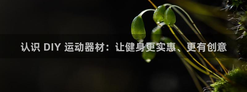 意昂体育3平台是正规平台吗安全吗:认识 DIY 运动器材:让